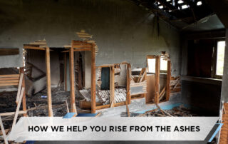 How We Help You Rise from the Ashes